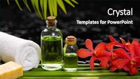  Presentation with stem - PPT layouts consisting of spa set with row of plant stem background and a black colored foreground