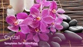  Presentation with pink black - Audience pleasing theme consisting of spa setting on mat with lying on pink orchid black stones bottle oil salt in spoon backdrop and a violet colored foreground