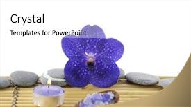  Presentation with health hope healing - Colorful presentation enhanced with spa setting on wooden board backdrop and a  colored foreground