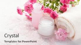  Presentation with pink roses - Cool new PPT layouts with light colors - spa setting with branch backdrop and a lemonade colored foreground