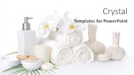  Presentation with green leaves - Presentation theme with spa-setting-with-green-leaves background and a white colored foreground