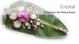  Presentation with purple orchids pink flowers orchid - Slide set with spa-setting-with-pink-orchid background and a  colored foreground