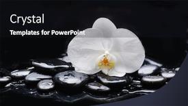  Presentation with zen stones - Presentation design enhanced with spa-still-life-of-blooming background and a black colored foreground