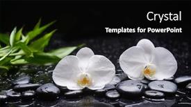  Presentation with zen - PPT theme consisting of spa-still-life-of-blooming background and a black colored foreground