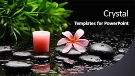  Presentation with pink green - Beautiful slide set featuring spa-still-life-of-blooming backdrop and a black colored foreground