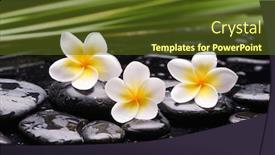  Presentation with spa stones leaves - Presentation theme featuring spa-still-life-of-blooming background and a tawny brown colored foreground