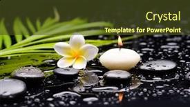  Presentation with green life - Colorful presentation theme enhanced with spa-still-life-of-blooming backdrop and a tawny brown colored foreground