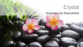  Presentation with plumeria - Beautiful presentation theme featuring spa-still-life-of-blooming backdrop and a white colored foreground