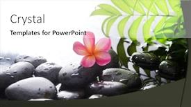  Presentation with plumeria - Beautiful presentation design featuring spa-still-life-of-blooming backdrop and a white colored foreground
