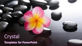  Presentation with plumeria - Audience pleasing presentation theme consisting of spa-still-life-of-blooming backdrop and a wine colored foreground