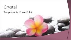  Presentation with pink-black - Colorful theme enhanced with spa-still-life-of-blooming backdrop and a white colored foreground