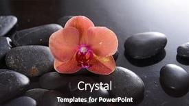  Presentation with zen - Presentation theme consisting of spa-still-life-of-blooming background and a wine colored foreground