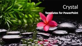  Presentation with green life - Slides featuring spa-still-life-of-blooming background and a black colored foreground