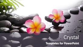 Presentation with plumeria - Amazing presentation theme having spa-still-life-of-blooming backdrop and a dark gray colored foreground