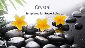  Presentation with plumeria - Presentation with spa-still-life-of-blooming background and a sky blue colored foreground