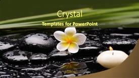  Presentation with spa stones leaves - Audience pleasing presentation theme consisting of spa-still-life-of-blooming backdrop and a tawny brown colored foreground