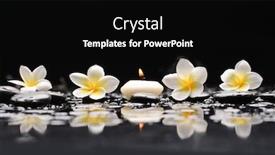  Presentation with plumeria - PPT layouts consisting of spa-still-life-of-blooming background and a black colored foreground