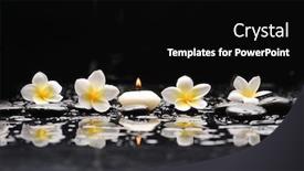  Presentation with plumeria - Theme with spa-still-life-of-blooming background and a black colored foreground