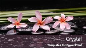  Presentation with zen stone - PPT layouts with spa-still-life-of-blooming background and a tawny brown colored foreground