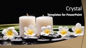  Presentation with zen stone - Audience pleasing PPT theme consisting of spa-still-life-of-blooming backdrop and a black colored foreground