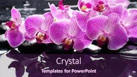  Presentation with zen stones - Presentation theme consisting of spa-still-life-of-closeup background and a wine colored foreground