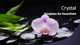  Presentation with spa stones leaves - Slide set enhanced with spa-still-life-of-closeup background and a black colored foreground