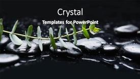  Presentation with green life - Audience pleasing presentation design consisting of spa-still-life-of-green backdrop and a black colored foreground