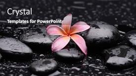  Presentation with pink black - Slide set consisting of spa-still-life-of-pink background and a dark gray colored foreground