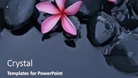  Presentation with pink-black - PPT theme with spa-still-life-of-pink and a ocean colored foreground