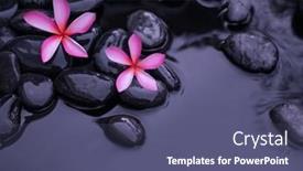  Presentation with pink-black - Theme having spa-still-life-of-pink and a ocean colored foreground