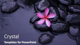  Presentation with pink-black - Theme with spa-still-life-of-pink background and a tawny brown colored foreground