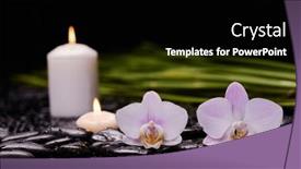  Presentation with pink-black - Theme consisting of spa-still-life-of-pink and a black colored foreground