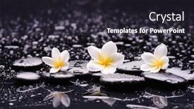  Presentation with zen stones - Colorful PPT layouts enhanced with spa-still-life-of-three backdrop and a wine colored foreground