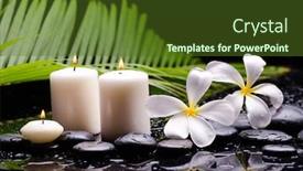  Presentation with zen - PPT layouts having spa-still-life-of-two background and a tawny brown colored foreground