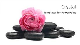  Presentation with detox green smoothies still life - Cool new PPT layouts with spa still life with buttercup backdrop and a  colored foreground