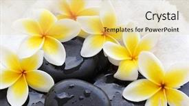  Presentation with frangipani flowers - Colorful slide deck enhanced with spa still life with frangipani backdrop and a yellow colored foreground