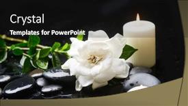  Presentation with jasmine - Audience pleasing slides consisting of spa-still-life-with-gardenia backdrop and a black colored foreground