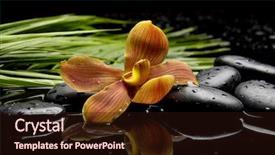  Presentation with still life crucifixion table - Slides enhanced with spa still life with hot background and a  colored foreground