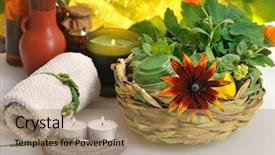  Presentation with green life - Beautiful presentation theme featuring spa still life with incense backdrop and a coral colored foreground