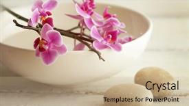  Presentation with orchid - Audience pleasing theme consisting of spa still life with orchid backdrop and a coral colored foreground