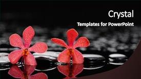  Presentation with still life crucifixion table - Slide set consisting of spa still life with pebbles background and a black colored foreground