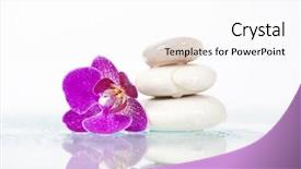  Presentation with zen stone - Theme with spa still life with pink orchid and white zen stone background and a white colored foreground