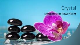  Presentation with serenity - Amazing slide set having spa still life with pink orchid and black zen stones in a serenity pool backdrop and a light blue colored foreground