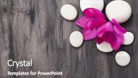  Presentation with zen stone - Presentation having spa still life with pink flowers and white zen stone background and a gray colored foreground
