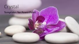  Presentation with zen stone - 