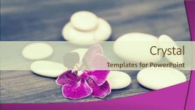  Presentation with zen stone - Cool new PPT theme with spa still life with pink orchid and white zen stone - retro styled photo backdrop and a cream colored foreground