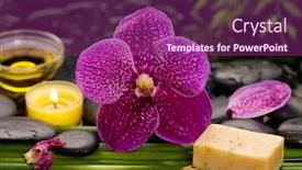  Presentation with stem - Theme consisting of spa still life with red orchid with and green stem oil candle towel candle background and a violet colored foreground