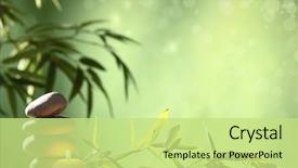  Presentation with stacked stone wall - Audience pleasing PPT theme consisting of spa still life with stacked backdrop and a mint green colored foreground