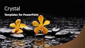  Presentation with frangipani flowers - Presentation design having spa-still-life-with-two background and a black colored foreground
