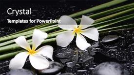  Presentation with frangipani flowers - Slide set enhanced with spa-still-life-with-two background and a black colored foreground